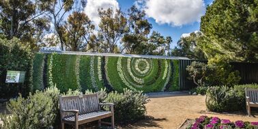 Large plant living wall with pathway and two benches